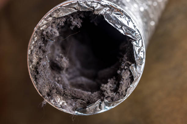 Best Affordable HVAC Duct Cleaning  in Venice Gardens, FL