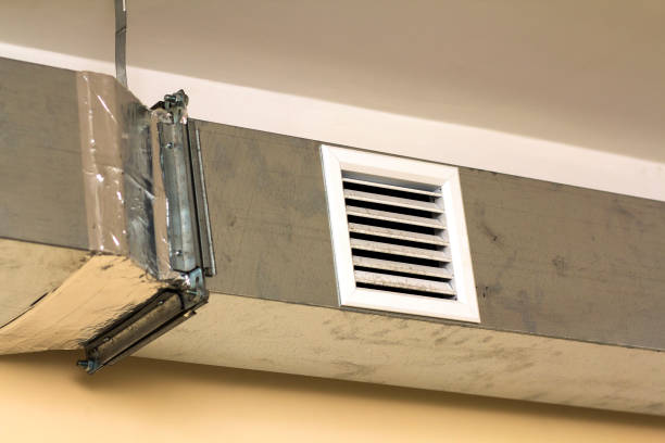 Best Affordable Air Duct Cleaning  in Venice Gardens, FL